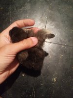 20180607_222441.jpg