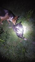 20180604_234559.jpg
