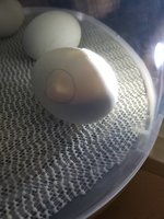 20180608_114612.jpg
