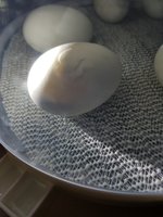 20180608_114622.jpg