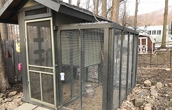 Designed my own coop!