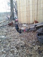IMG_20180308_161359.jpg