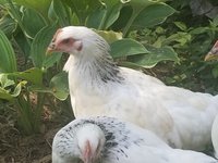 20180609_094739.jpg