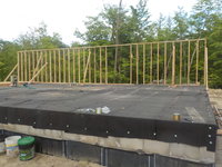 DSCN0787.JPG