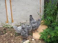 20180609_115031.jpg