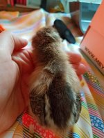 20180515_182634.jpg