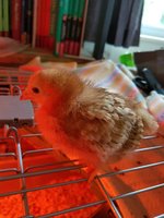 20180515_181556.jpg
