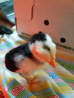 20180515_181950.jpg