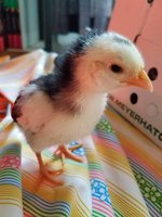 20180515_181947.jpg
