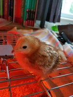 20180515_181555.jpg