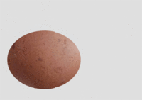 test-2.gif