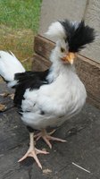 20180609_120428.jpg