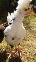 20180609_165313.jpg