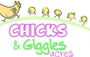 ChicksLogo.jpg ChicksLogo.jpg