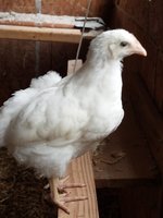 20180610_185816.jpg