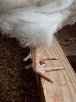 20180610_185821.jpg