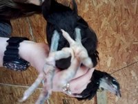 20180610_190138.jpg