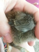 20180610_172557.jpg