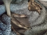20180610_142759.jpg
