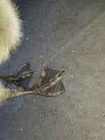 20180610_135346.jpg