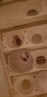 20180610_211659.jpg