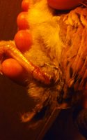 20180610_211731.jpg