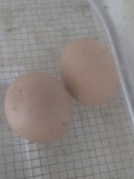 20180611_073609.jpg