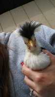 20180610_144153.jpg