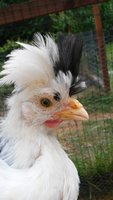 20180610_144349.jpg