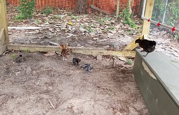 20180609_141149.jpg