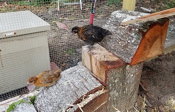 20180610_172144.jpg