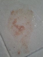 20180611_165616.jpg