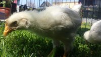 20180607_143718.jpg