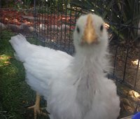 20180610_130140-1.jpg