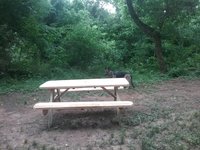 20180611_150436.jpg
