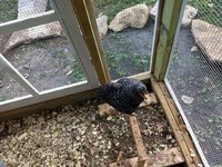 IMG_20180611_185448695.jpg