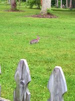 WP_20180608_07_35_21_Pro.jpg
