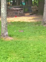 WP_20180608_07_33_59_Pro.jpg