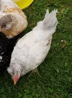 20180611_222406.jpg