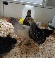 20180612_004328.jpg