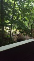 20180612_070450.jpg