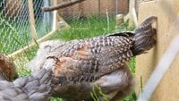 20180608_081042.jpg