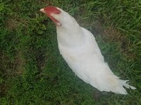 20180612_083255.jpg