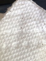 2A869F8B-C86B-4F34-BA55-71E7E777E8B3.jpeg
