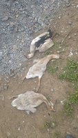20180612_150842.jpg