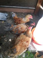 20180612_114734.jpg