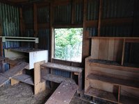 IMG_20180604_141256.jpg