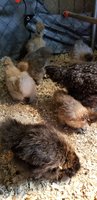 20180612_083923.jpg