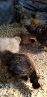 20180612_083921.jpg