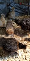 20180612_083926.jpg
